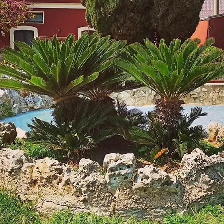 Simpson - Aeroporto Di - Bari